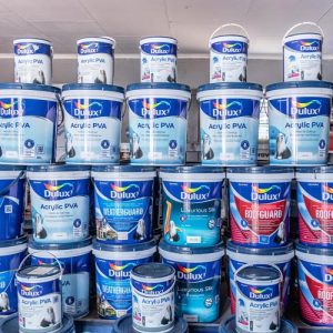 Paints